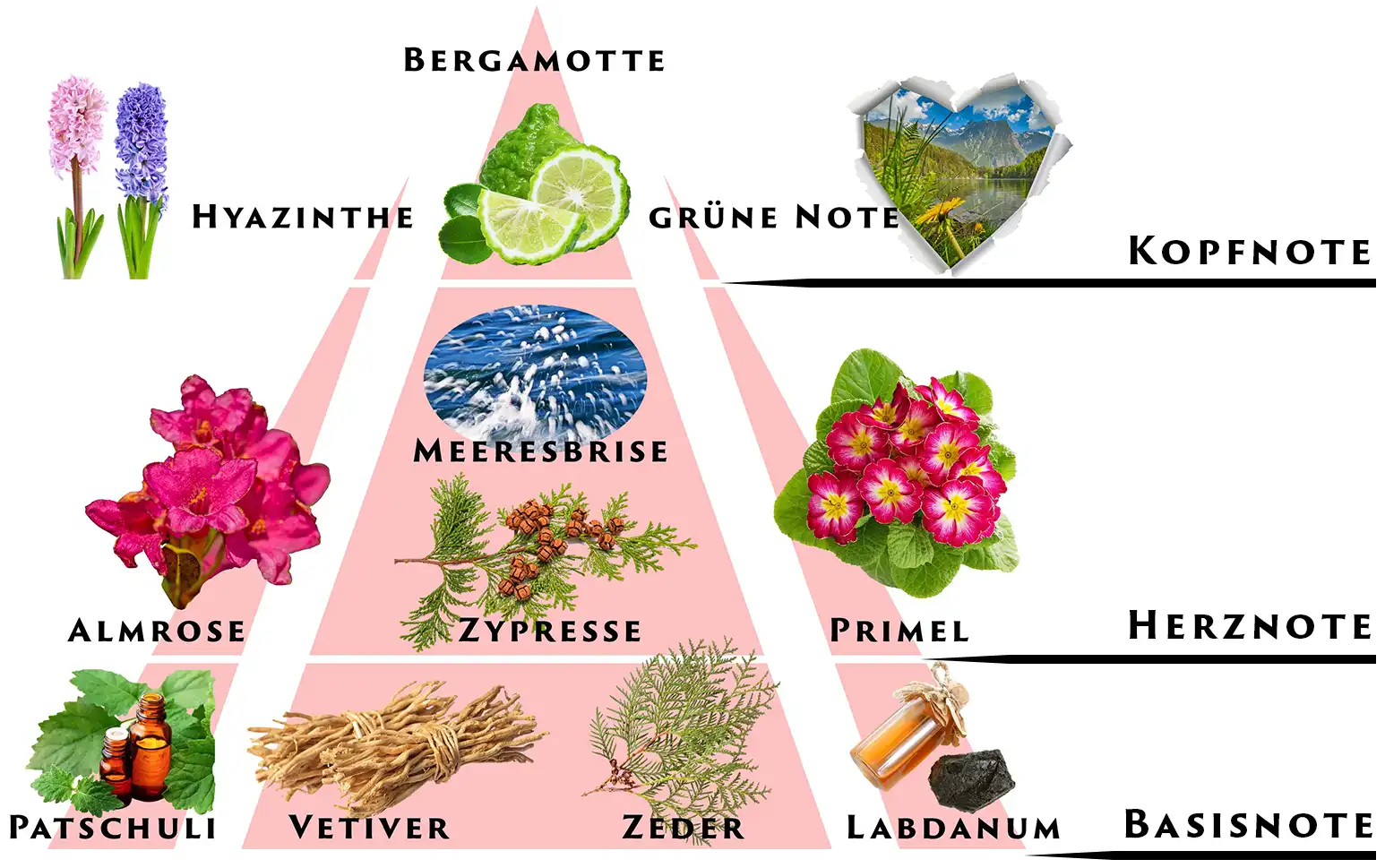 Perfume Pyramid Explained Fragrance Pyramid